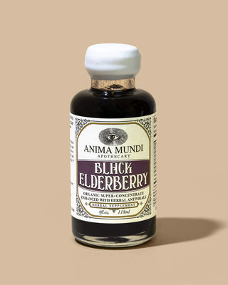 Black Elderberry
