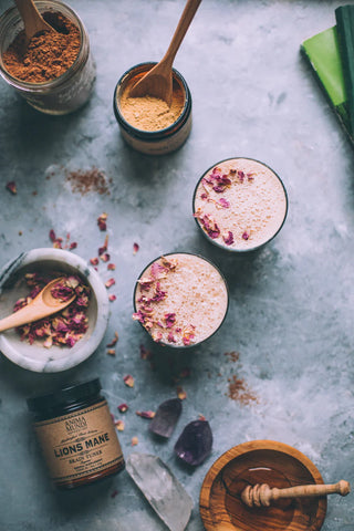 Lion’s Mane Brain Tonic