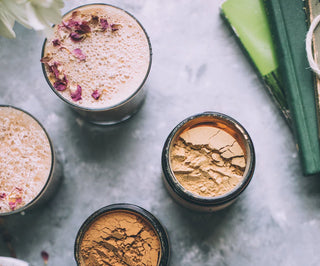 Lion’s Mane Brain Tonic