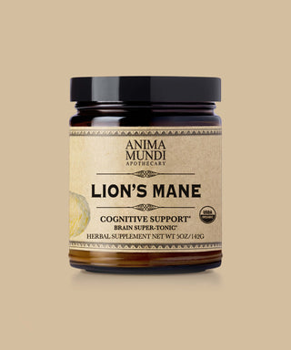 Lion’s Mane Brain Tonic