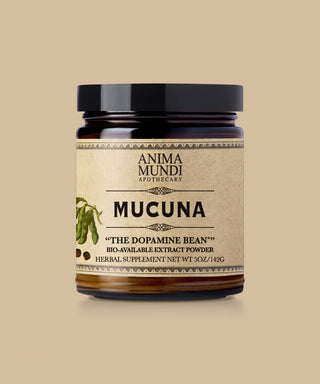 Mucuna Dopamine Bean